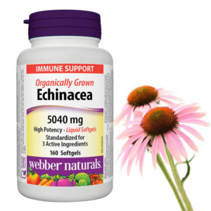 Echinacea 5040mg, 160 Softgels - Webber Naturals