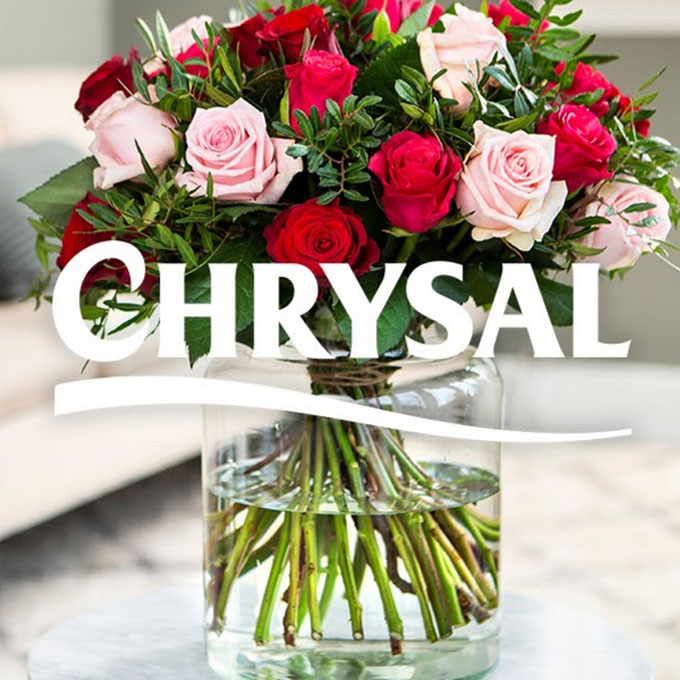 Chrysal Clear Flower Food Packets – Single Packet – Flower Arrangements &  Bouquets – Floral Supplies for Fresh Flowers – Fresh Flower Arrangements