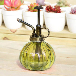 Vintage Style Glass Watering Spray Bottle 6.5″