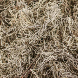 Mexico Spanish Moss 1 lb Bag - Natural