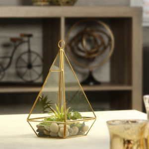Glass Terrarium, Succulent & Air Plant (Pyramid)