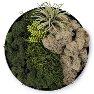 Moss Decor Centerpiece with Faux Succulents - Black